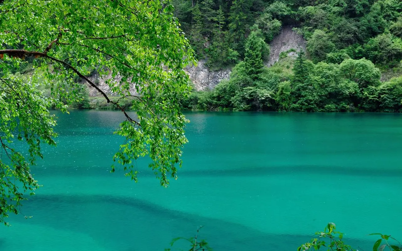 科技精密先进